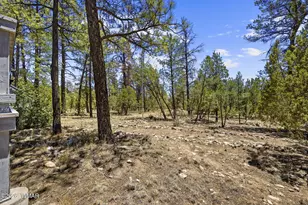 2142 Rimview Trail, Overgaard, AZ 85933 - Photo 4
