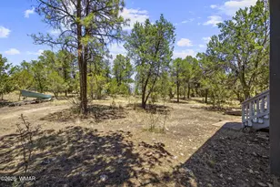 2142 Rimview Trail, Overgaard, AZ 85933 - Photo 22