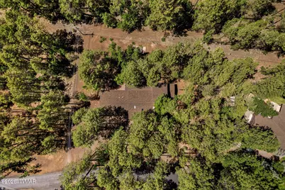 3584 Woodpecker Lane, Pinetop, AZ 85935 - Photo 46