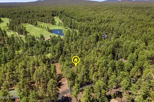 3584 Woodpecker Ln, Pinetop, AZ 85935 - Photo 42
