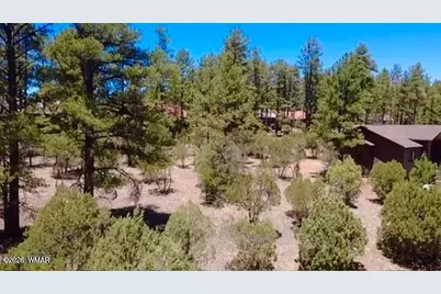 1180 S Lakeside Trail, Show Low, AZ 85901 - Photo 2