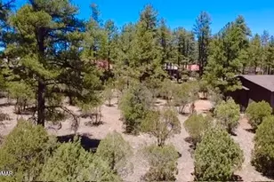 1180 S Lakeside Trl, Show Low, AZ 85901 - Photo 2