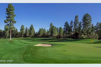 1180 S Lakeside Trail, Show Low, AZ 85901 - Photo 10