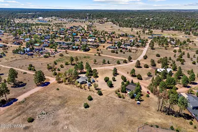 2727 Pine Meadow Drive, Overgaard, AZ 85933 - Photo 32