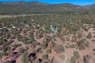 19 County Road N2158, Nutrioso, AZ 85932 - Photo 40