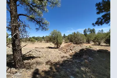 945 Full House Lane, Show Low, AZ 85901 - Photo 24