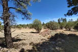 945 Full House Ln, Show Low, AZ 85901 - Photo 24