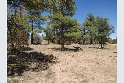 945 Full House Lane, Show Low, AZ 85901 - Photo 20