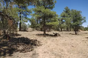 945 Full House Ln, Show Low, AZ 85901 - Photo 20