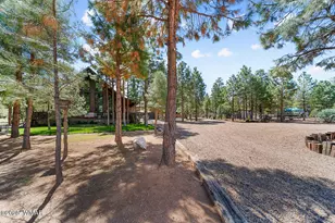 2046 Christmas Pine Rd, Overgaard, AZ 85933 - Photo 4