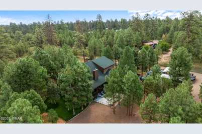 2046 Christmas Pine Road, Overgaard, AZ 85933 - Photo 68