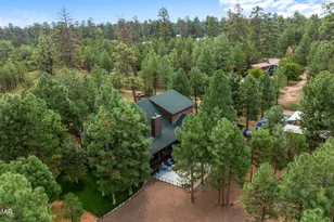 2046 Christmas Pine Rd, Overgaard, AZ 85933 - Photo 68
