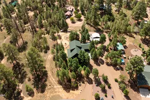2046 Christmas Pine Rd, Overgaard, AZ 85933 - Photo 70