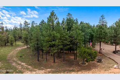 2046 Christmas Pine Road, Overgaard, AZ 85933 - Photo 64