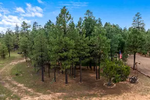 2046 Christmas Pine Rd, Overgaard, AZ 85933 - Photo 64