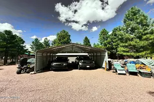 2046 Christmas Pine Rd, Overgaard, AZ 85933 - Photo 58