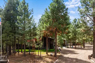 2046 Christmas Pine Rd, Overgaard, AZ 85933 - Photo 66