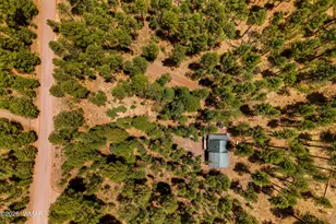 70 County Road 2266, Alpine, AZ 85920 - Photo 40