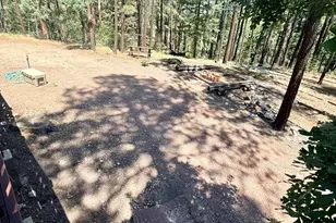 70 County Road 2266, Alpine, AZ 85920 - Photo 46
