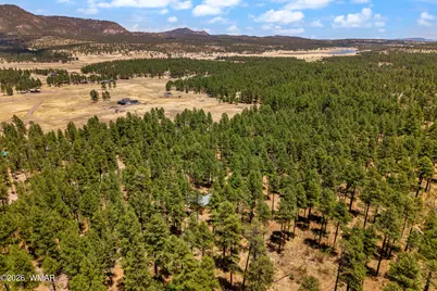 70 County Road 2266, Alpine, AZ 85920 - Photo 44