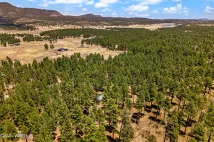 70 County Road 2266, Alpine, AZ 85920 - Photo 44