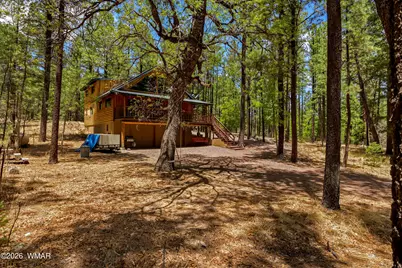 70 County Road 2266, Alpine, AZ 85920 - Photo 36