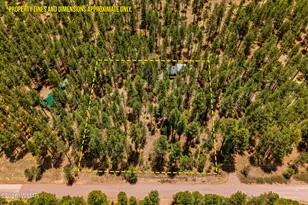 70 County Road 2266, Alpine, AZ 85920 - Photo 42