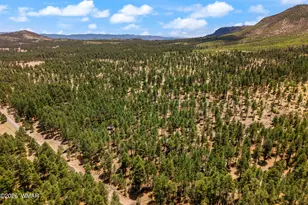 70 County Road 2266, Alpine, AZ 85920 - Photo 38