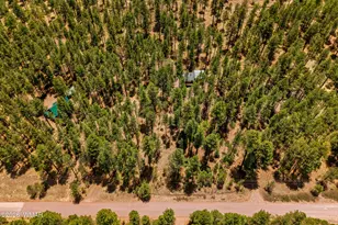 70 County Road 2266, Alpine, AZ 85920 - Photo 42