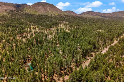 70 County Road 2266, Alpine, AZ 85920 - Photo 40