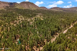 70 County Road 2266, Alpine, AZ 85920 - Photo 40