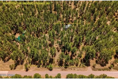 70 County Road 2266, Alpine, AZ 85920 - Photo 2
