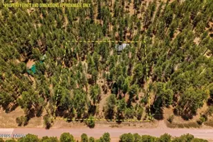 70 County Road 2266, Alpine, AZ 85920 - Photo 2