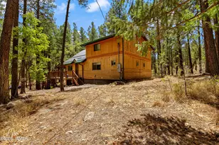 70 County Road 2266, Alpine, AZ 85920 - Photo 38