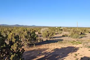 690 Stanford Dr, Concho, AZ 85924 - Photo 8