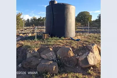 690 Stanford Drive, Concho, AZ 85924 - Photo 12