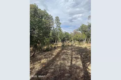 1522 Foxtail Lane, Heber, AZ 85928 - Photo 4
