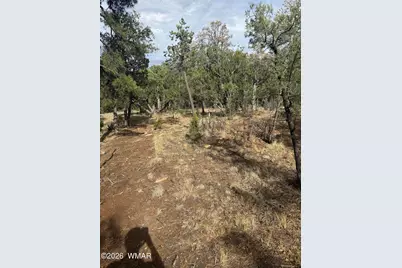 1522 Foxtail Lane, Heber, AZ 85928 - Photo 2