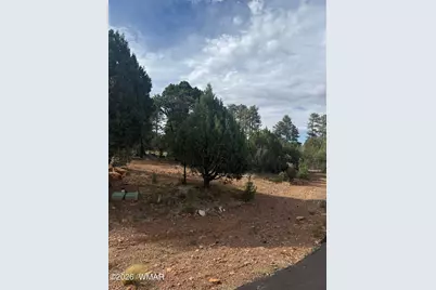 1522 Foxtail Lane, Heber, AZ 85928 - Photo 10