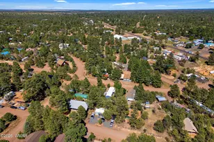3490 Black Bear Run, Overgaard, AZ 85933 - Photo 34