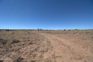 5332 Concho Ocho Rd, Snowflake, AZ 85937 - Photo 20