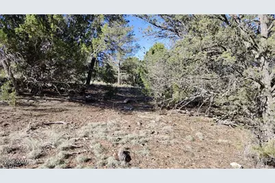 2316 Thunderbird Circle, Overgaard, AZ 85933 - Photo 2