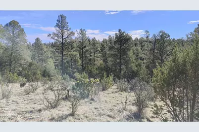 2316 Thunderbird Circle, Overgaard, AZ 85933 - Photo 4