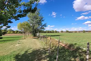 1200 E Center St, Taylor, AZ 85939 - Photo 28