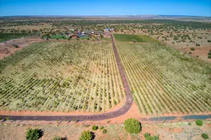 18 N5162, Concho, AZ 85924 - Photo 98