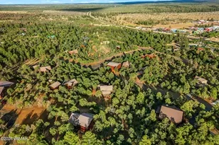 2774 Air Park Dr, Overgaard, AZ 85933 - Photo 40