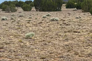 Tbd 8206, Concho, AZ 85924 - Photo 1