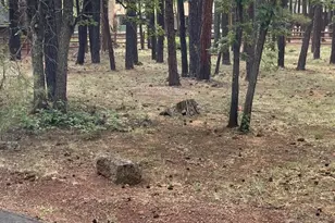 6567 Palomino Dr Lot 165, Pinetop, AZ 85935 - Photo 1