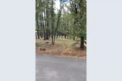 6567 Palomino Drive Lot 165, Unit 3 #3, Pinetop, AZ 85935 - Photo 2