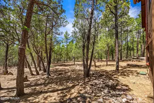 1131 E Pine Oaks Dr, Show Low, AZ 85901 - Photo 42